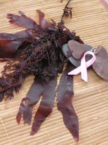 kelp From this morning's Moonstone Beach walk