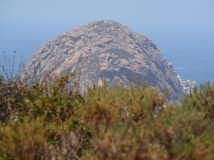 Morro Rock from Black Hill