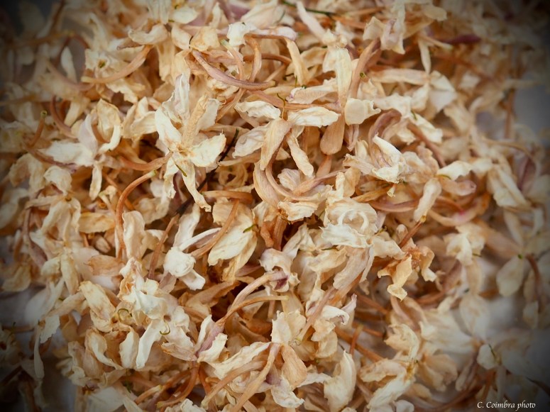 Dried Jasmine