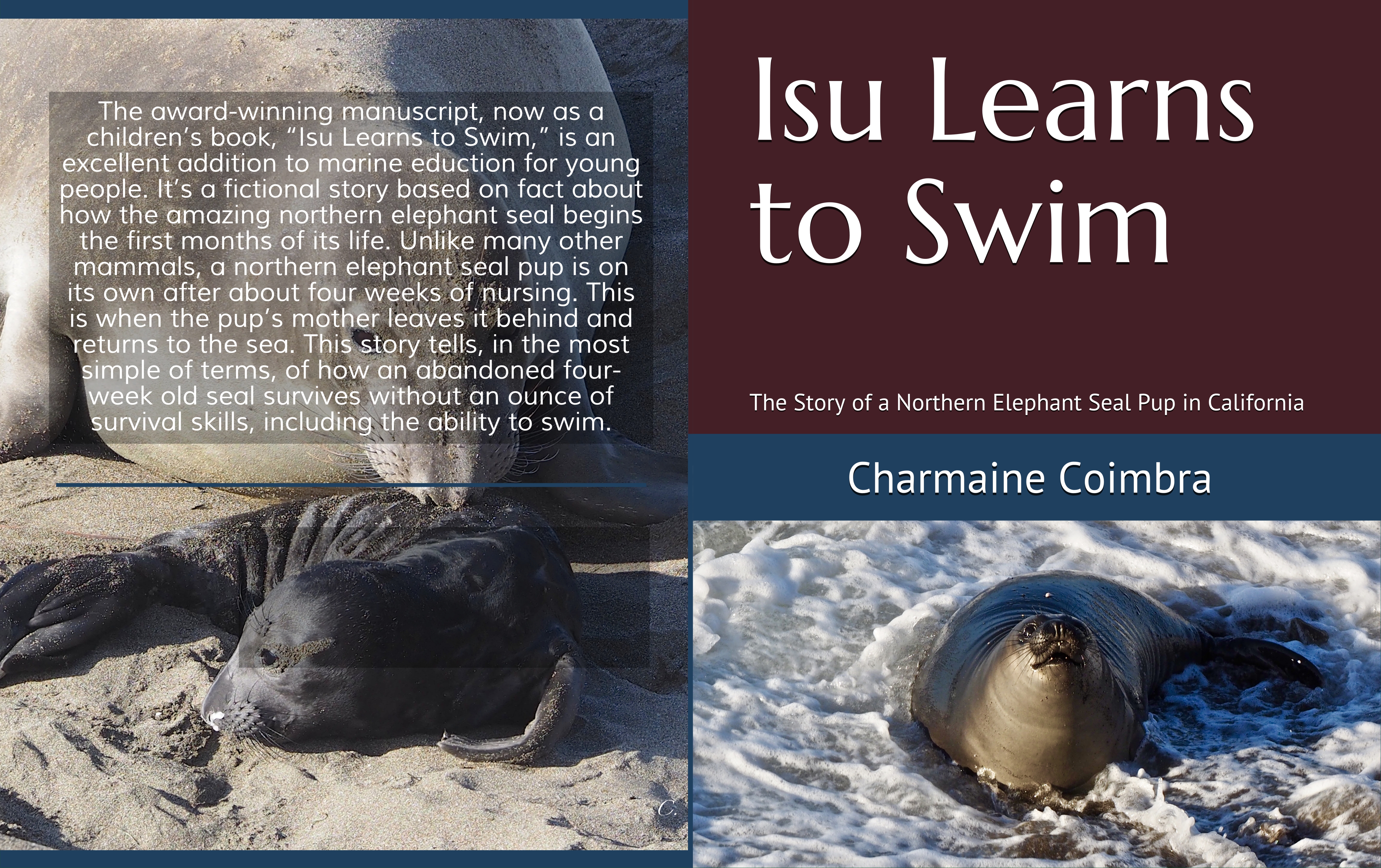 067c2841-98f1-484c-bf51-fffa7b818eae